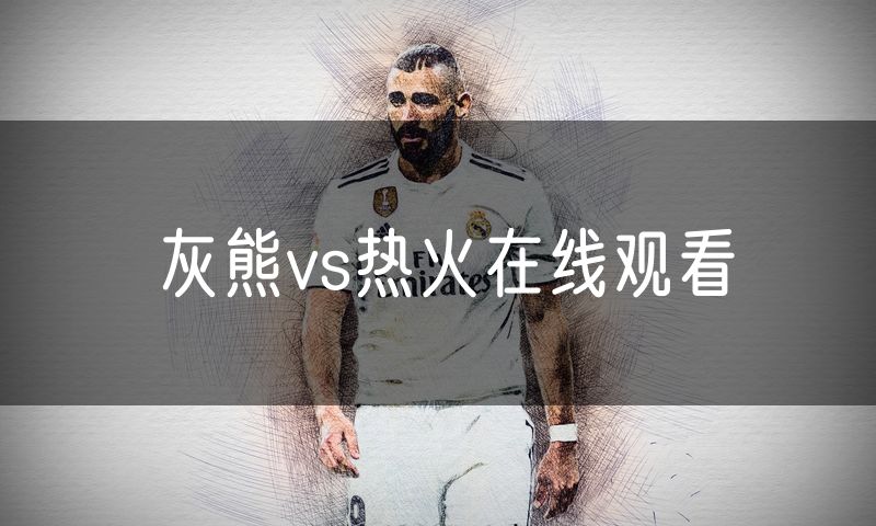 灰熊vs热火在线观看