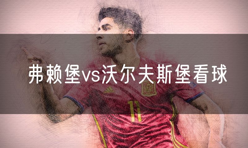 弗赖堡vs沃尔夫斯堡看球