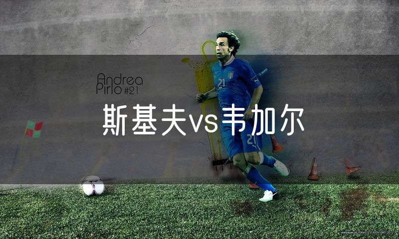 斯基夫vs韦加尔 斯基夫vs韦加尔