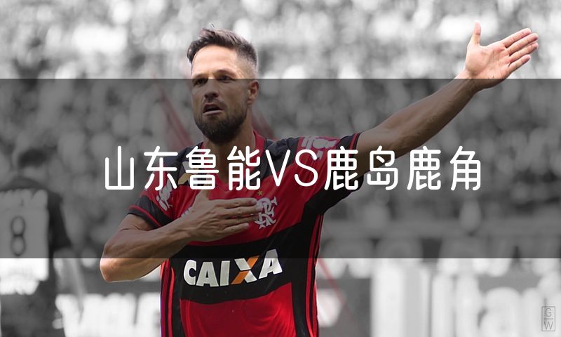 山东鲁能VS鹿岛鹿角