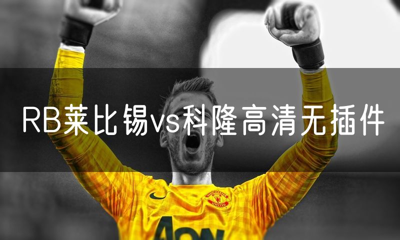 RB莱比锡vs科隆高清无插件