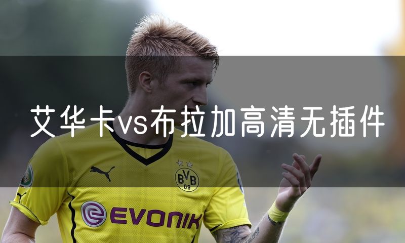 艾华卡vs布拉加高清无插件