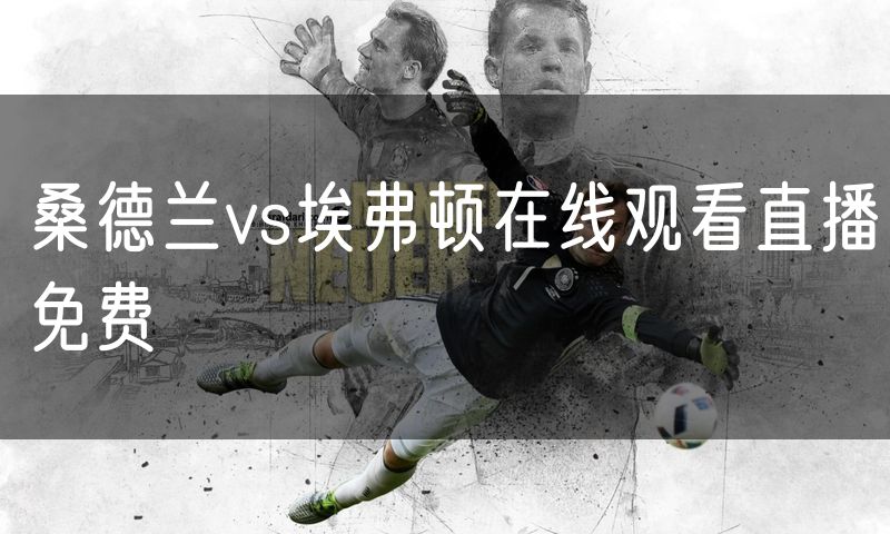 桑德兰vs埃弗顿在线观看直播免费