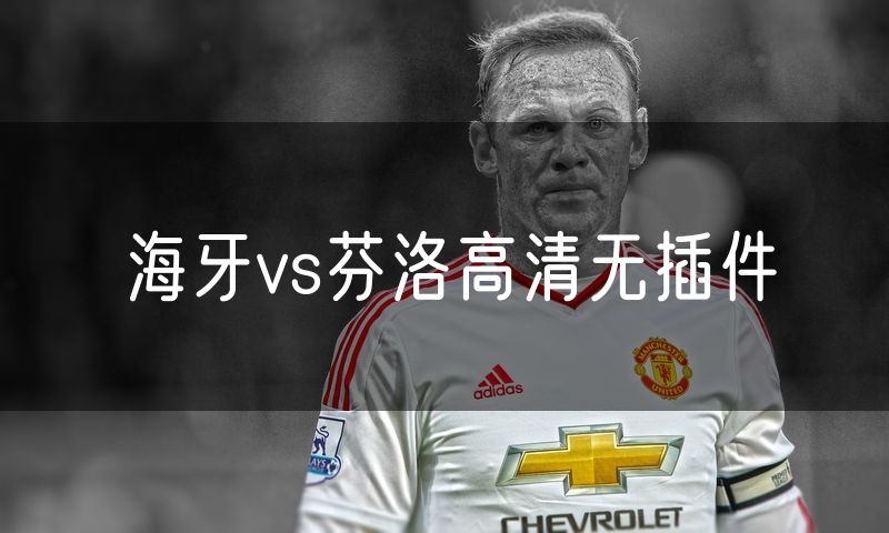 海牙vs芬洛高清无插件
