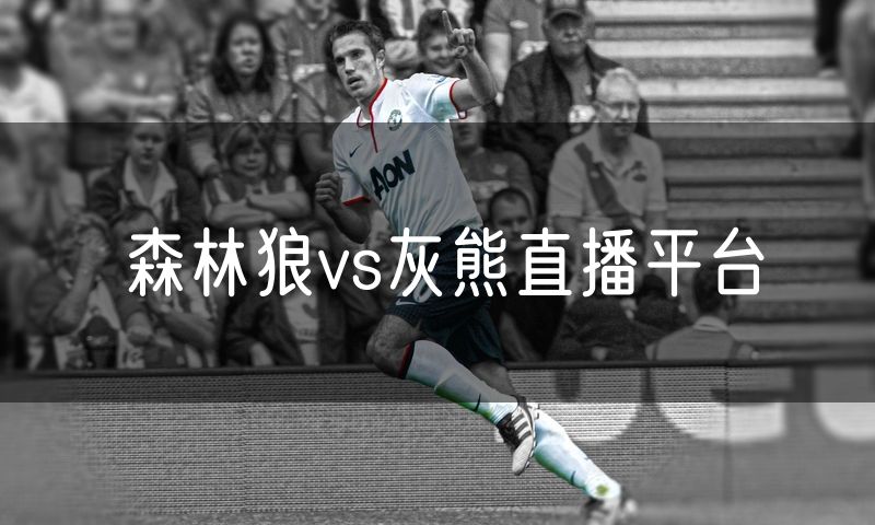 森林狼vs灰熊直播平台