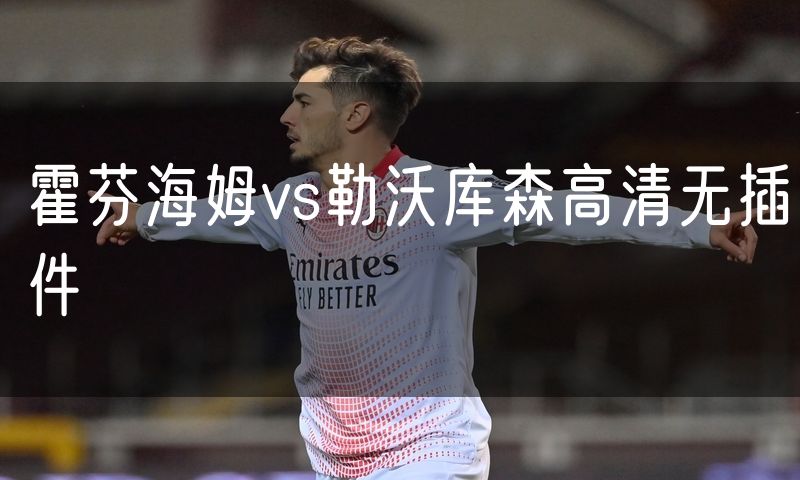 霍芬海姆vs勒沃库森高清无插件