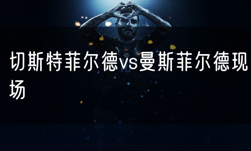切斯特菲尔德vs曼斯菲尔德现场