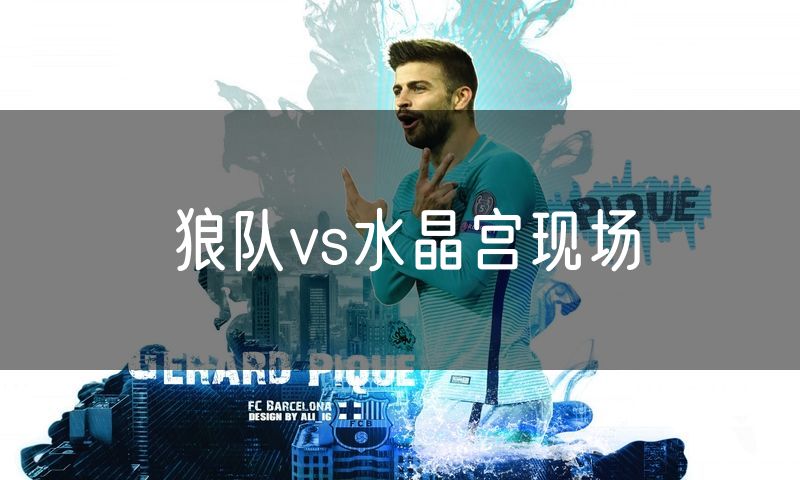 狼队vs水晶宫现场