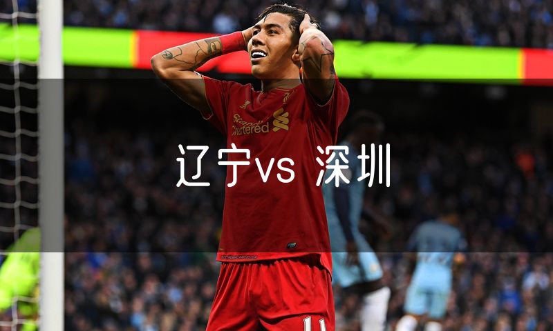 辽宁vs 深圳