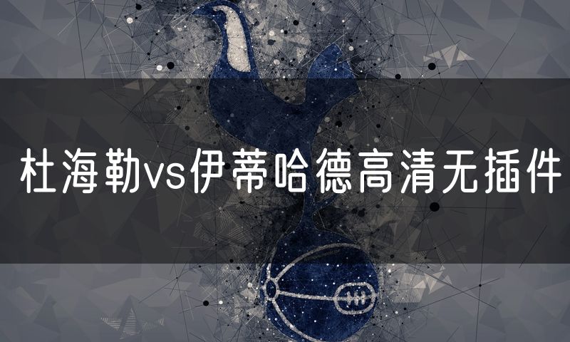 杜海勒vs伊蒂哈德高清无插件