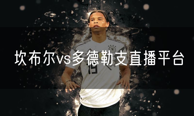 坎布尔vs多德勒支直播平台