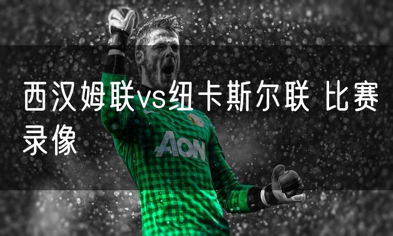 西汉姆联vs纽卡斯尔联 比赛录像