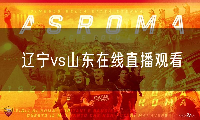 辽宁vs山东在线直播观看
