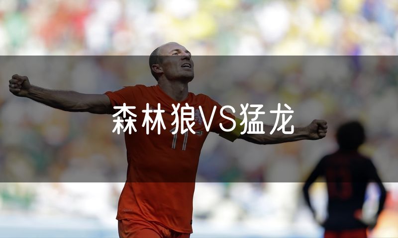 森林狼VS猛龙