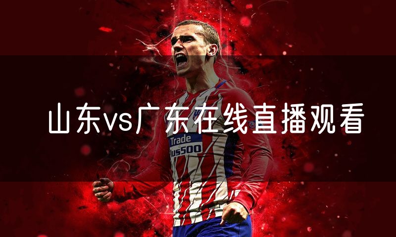 山东vs广东在线直播观看