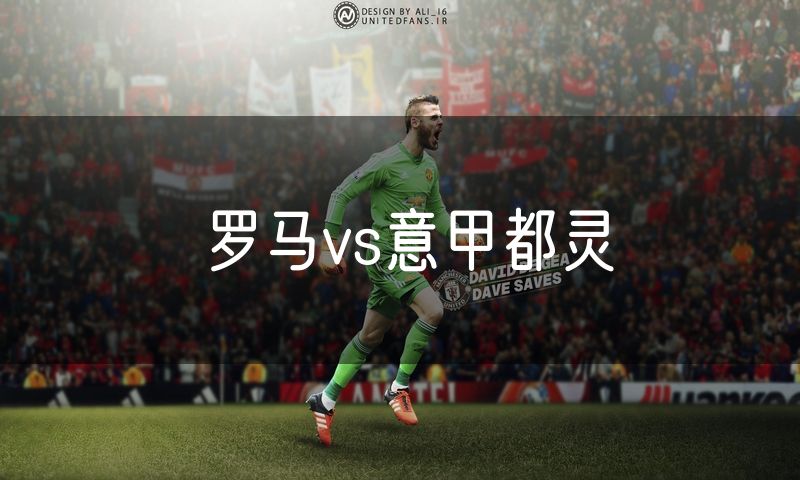 罗马vs意甲都灵