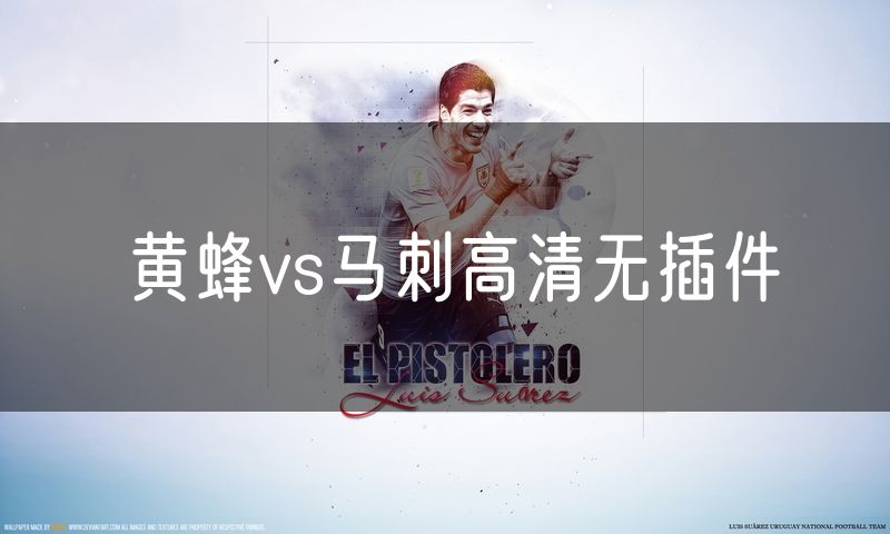 黄蜂vs马刺高清无插件