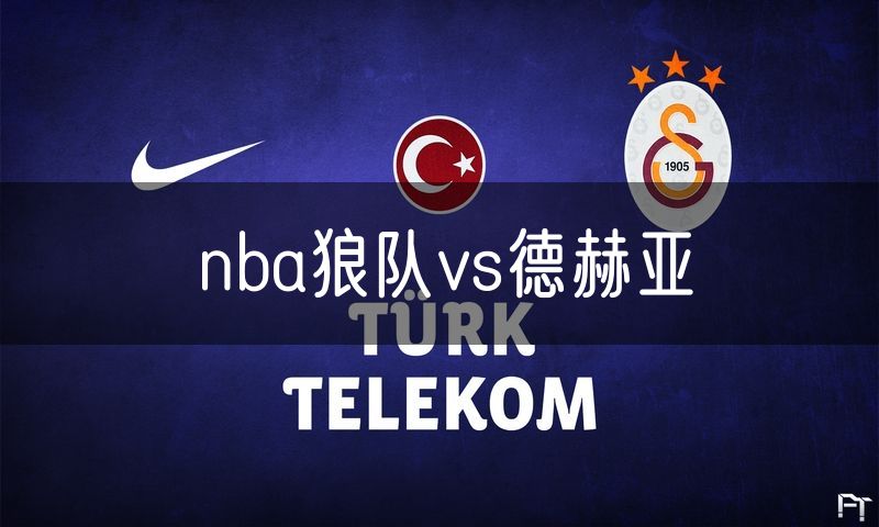 nba狼队vs德赫亚