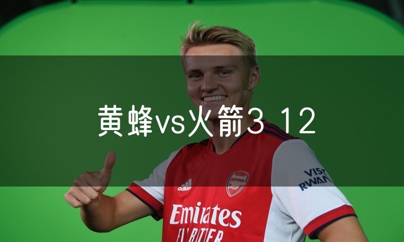 黄蜂vs火箭3 12