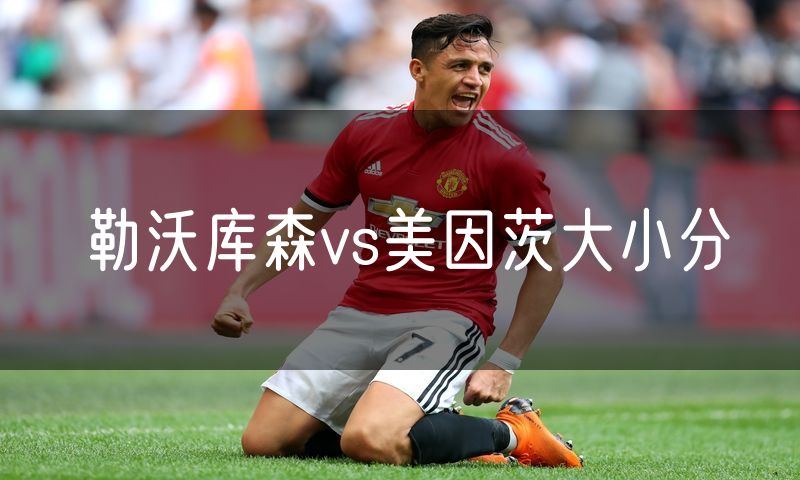 勒沃库森vs美因茨大小分
