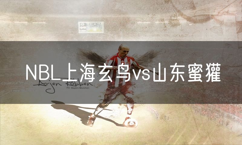 NBL上海玄鸟vs山东蜜獾