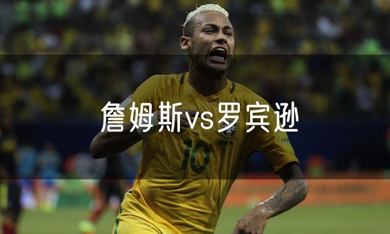 詹姆斯vs罗宾逊