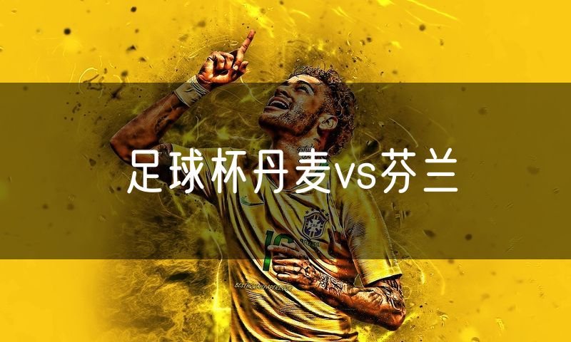 足球杯丹麦vs芬兰