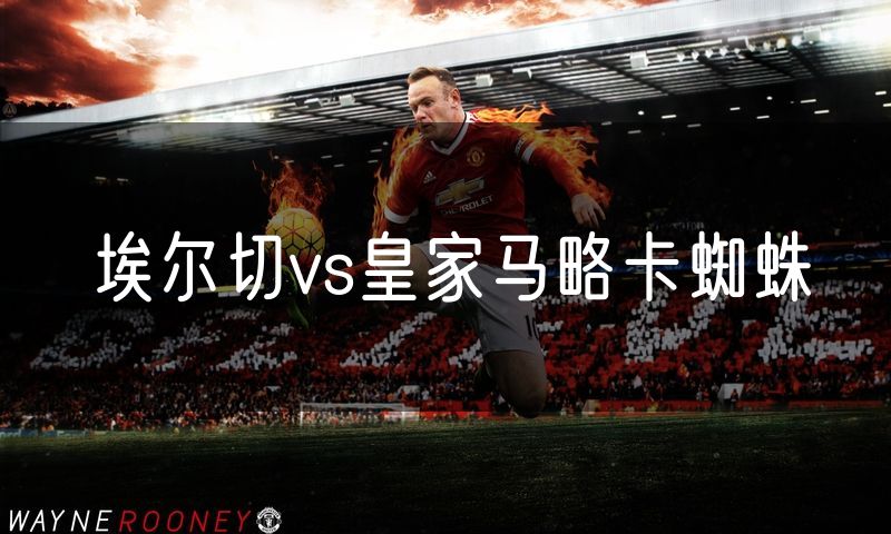 埃尔切vs皇家马略卡蜘蛛