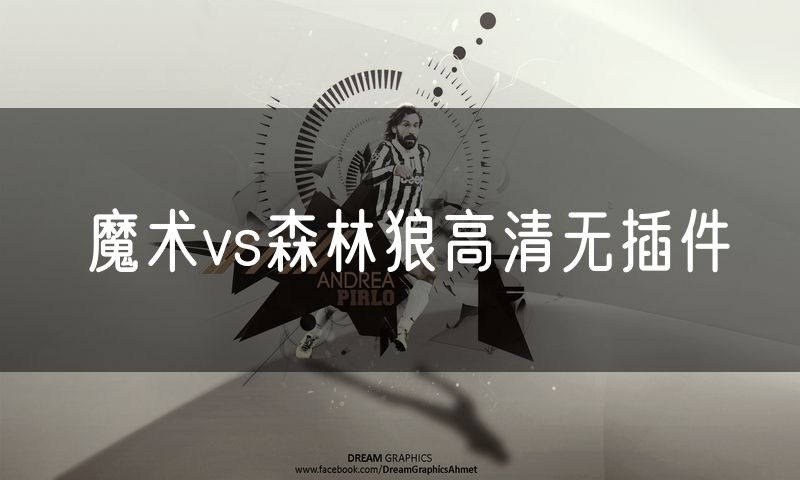 魔术vs森林狼高清无插件 魔术vs森林狼高清无插件