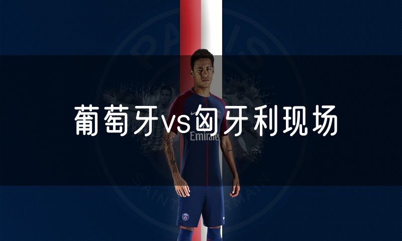 葡萄牙vs匈牙利现场