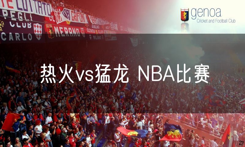 热火vs猛龙 NBA比赛