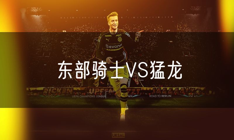 东部骑士VS猛龙