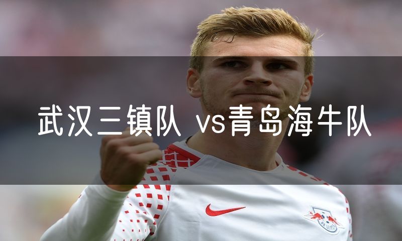 武汉三镇队 vs青岛海牛队