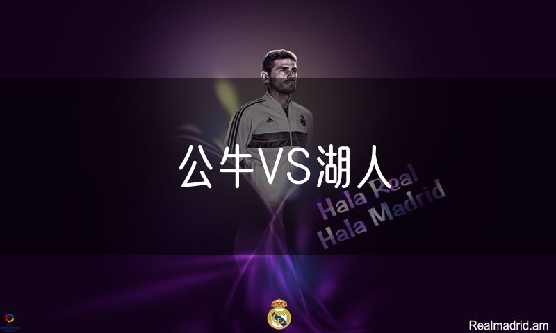 公牛VS湖人