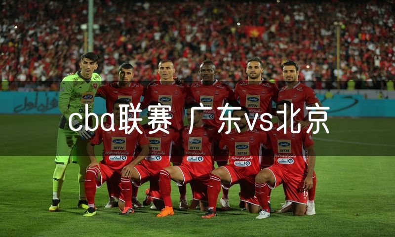 cba联赛 广东vs北京
