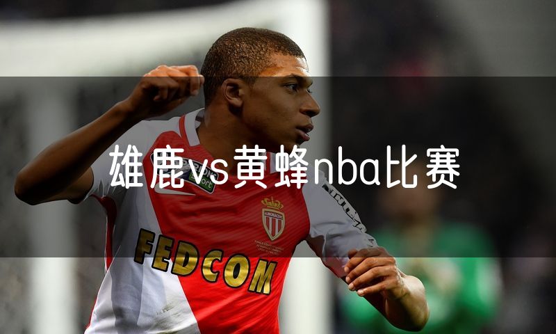 雄鹿vs黄蜂nba比赛