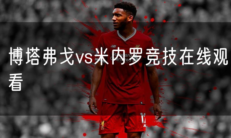 博塔弗戈vs米内罗竞技在线观看