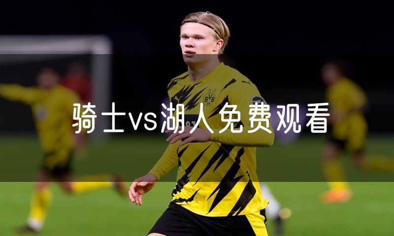 骑士vs湖人免费观看