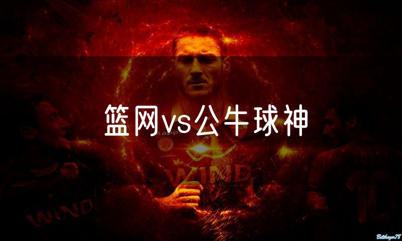 篮网vs公牛球神 篮网vs公牛球神