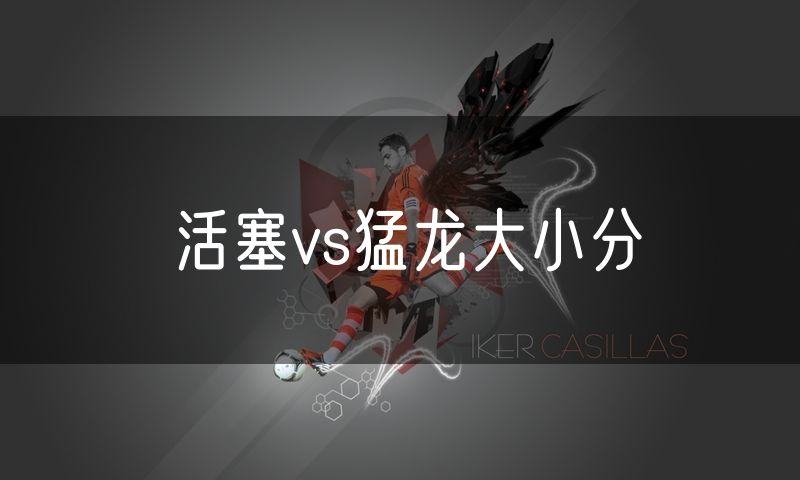 活塞vs猛龙大小分