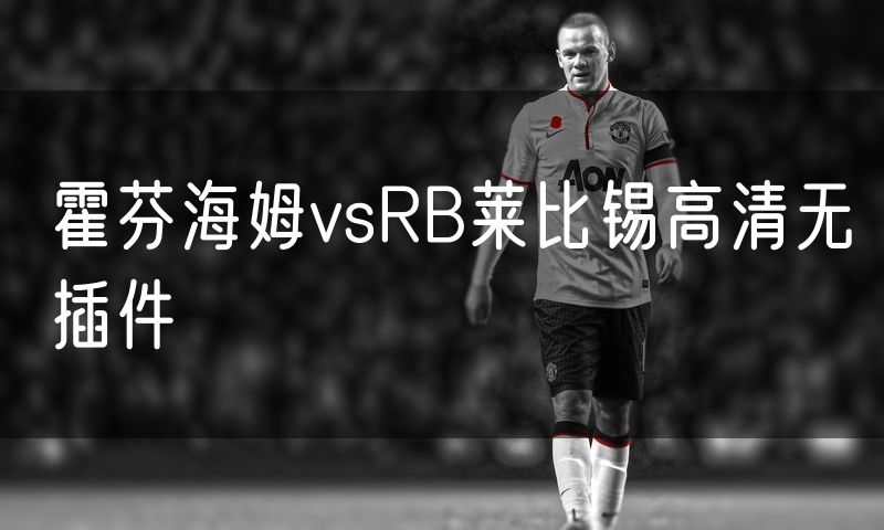霍芬海姆vsRB莱比锡高清无插件