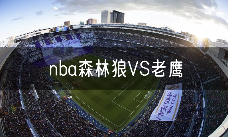 nba森林狼VS老鹰