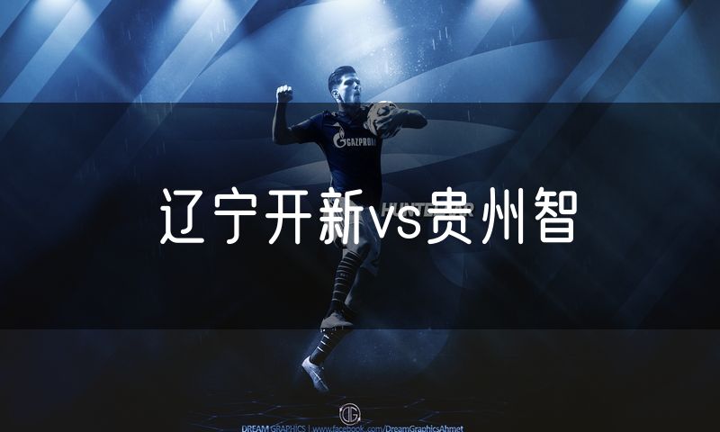 辽宁开新vs贵州智