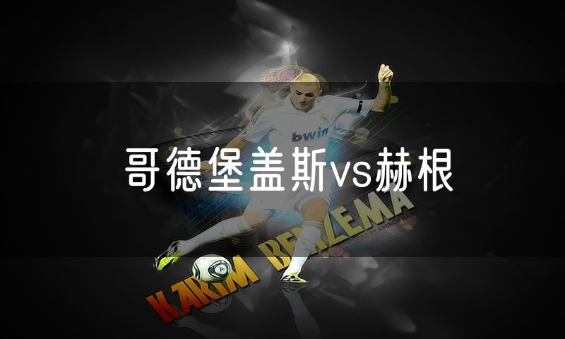 哥德堡盖斯vs赫根 哥德堡盖斯vs赫根