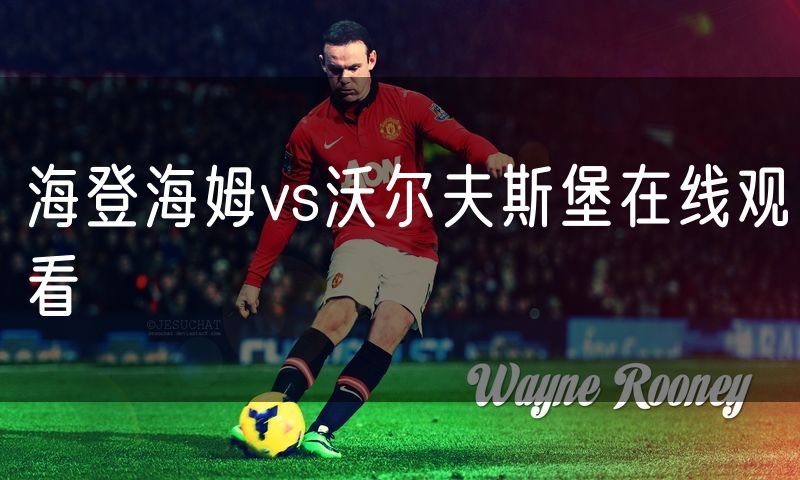 海登海姆vs沃尔夫斯堡在线观看