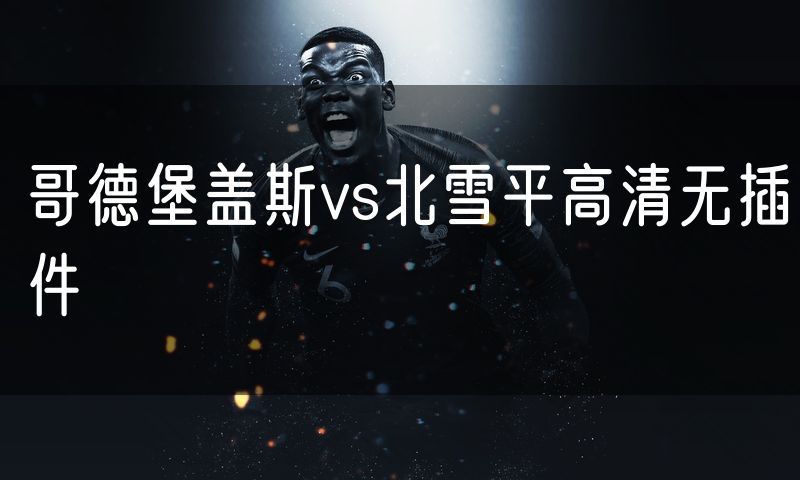 哥德堡盖斯vs北雪平高清无插件