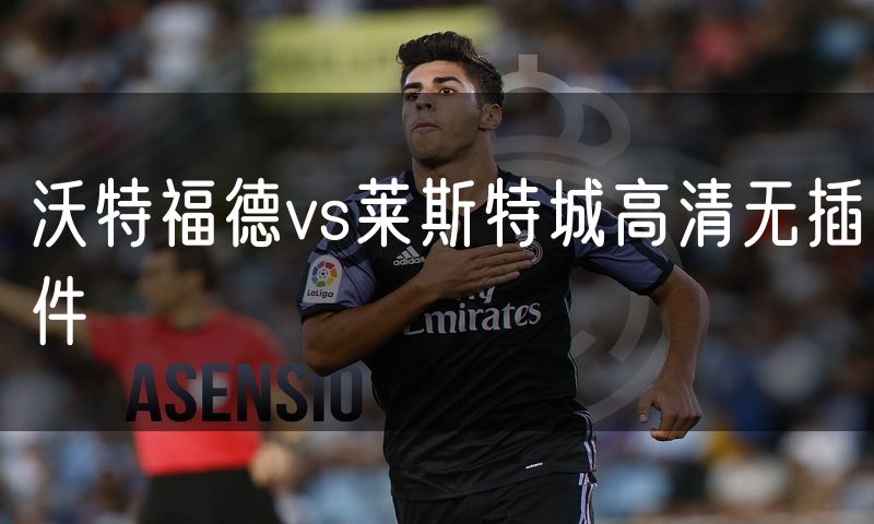 沃特福德vs莱斯特城高清无插件