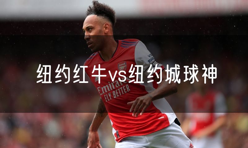 纽约红牛vs纽约城球神