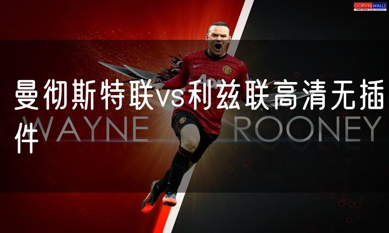 曼彻斯特联vs利兹联高清无插件