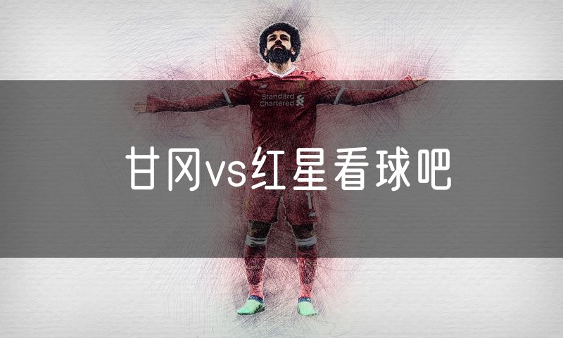 甘冈vs红星看球吧